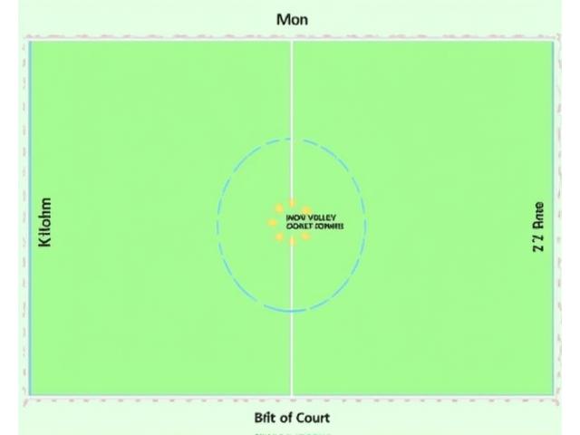 Diagram illustrating the pickleball non-volley zone or kitchen area